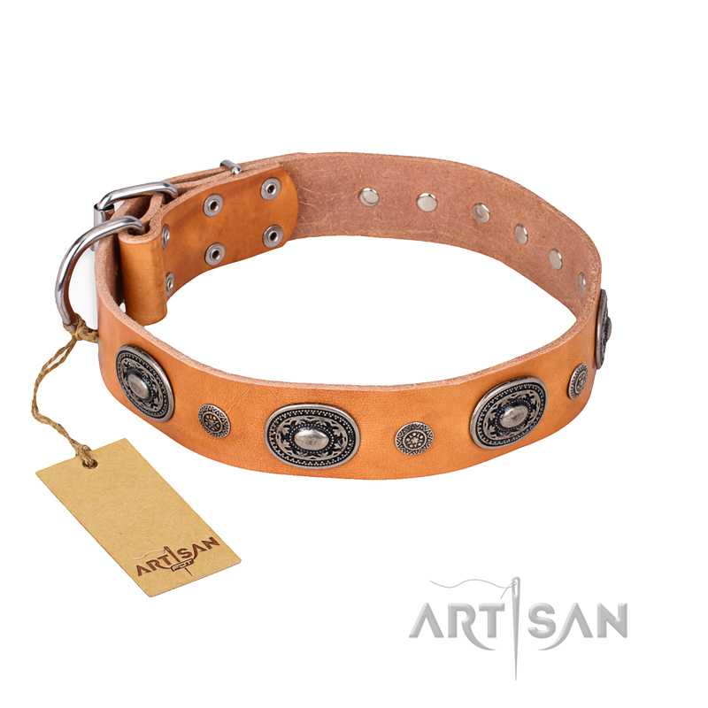"Twinkle Twinkle" FDT Artisan Incredible Studded Tan Leather Boxer Collar