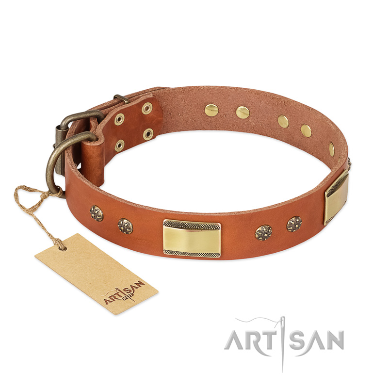 "Enchanting Spectacle" FDT Artisan Tan Leather Boxer Collar with Old Bronze Look Plates and Round Studs