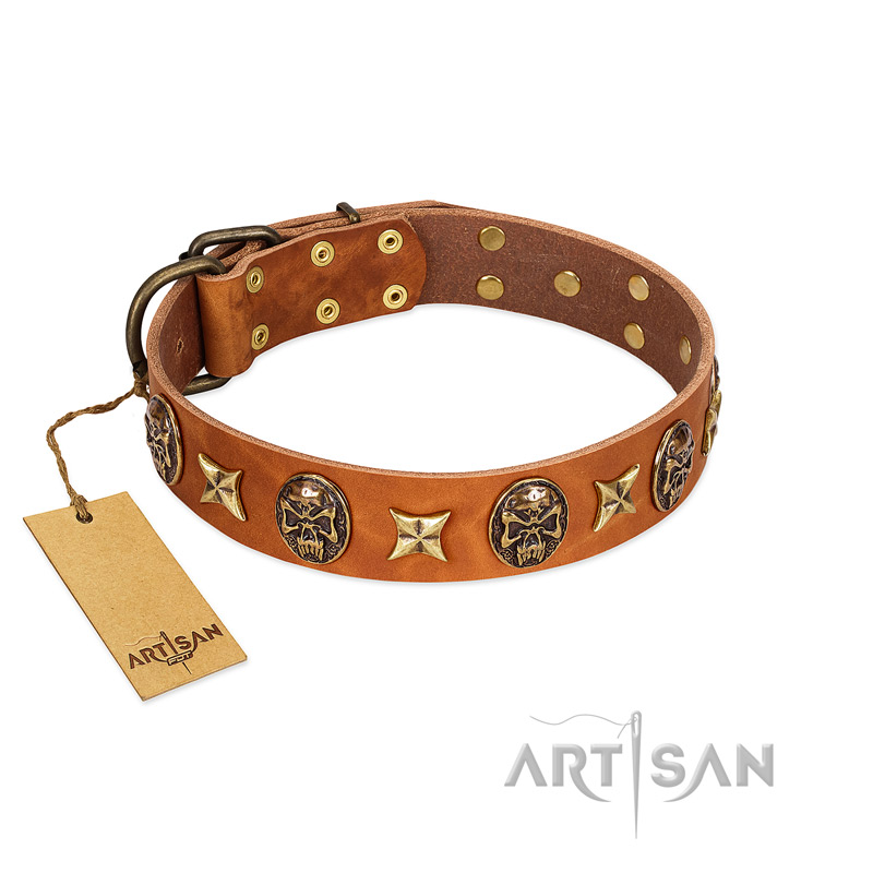 "Rockin' Doggie" FDT Artisan Tan Leather Boxer Collar Adorned with Stars and Skulls