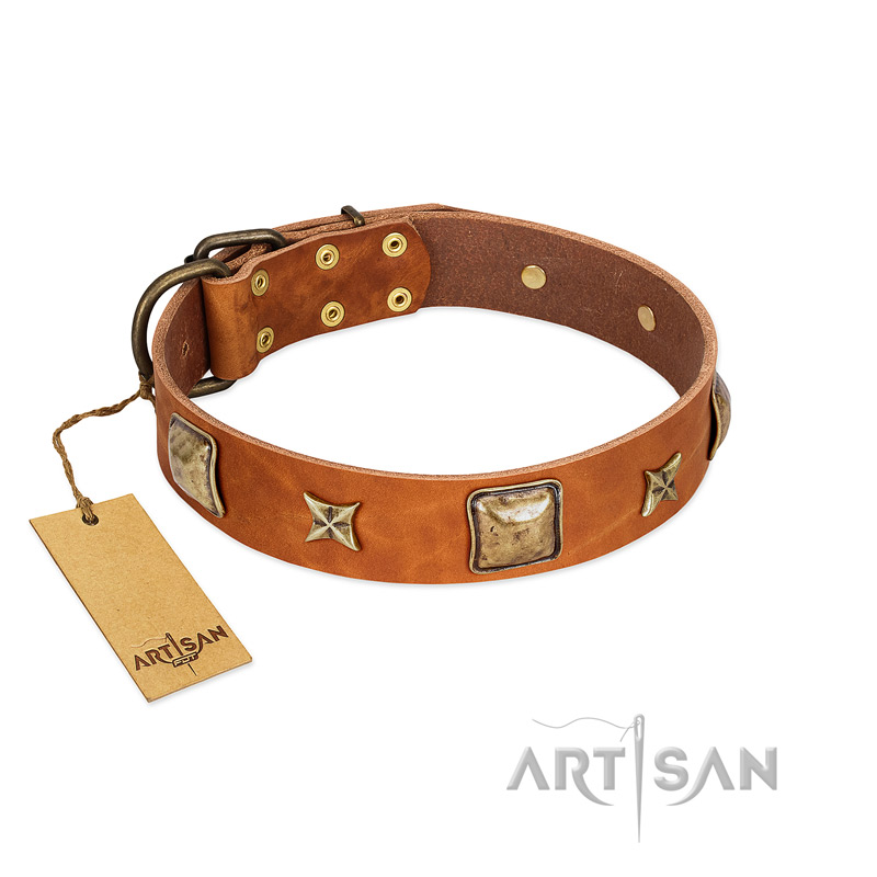 "Celtic Tunes" FDT Artisan Tan Leather Boxer Collar Adorned with Stars and Squares