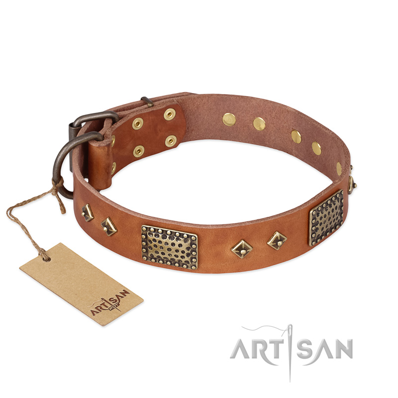 "Catchy Look" FDT Artisan Decorated Tan Leather Boxer Collar