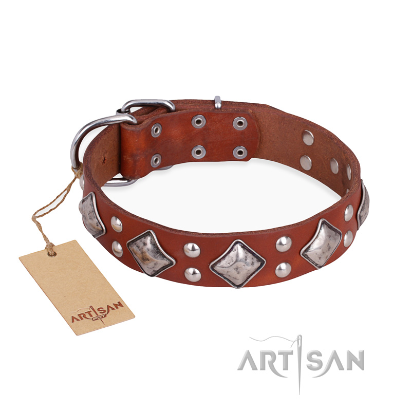"Magic Squares" FDT Artisan Tan Leather Boxer Collar with Silver-like Decor