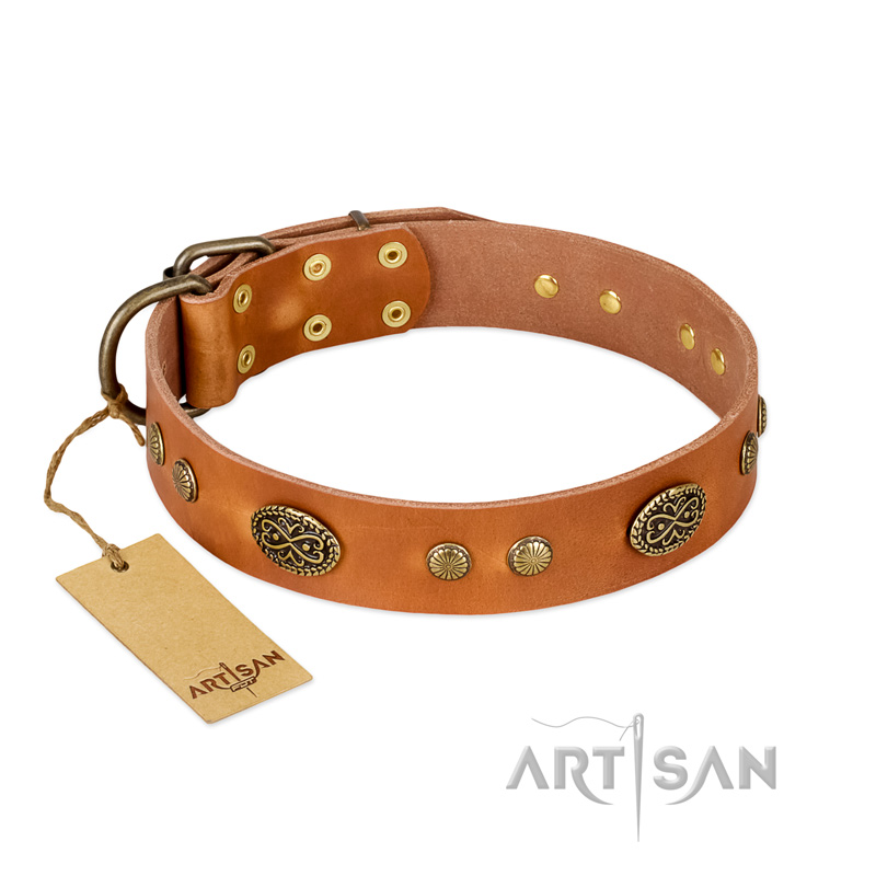 "Sun Beams" FDT Artisan Tan Leather Boxer Collar with Decorations