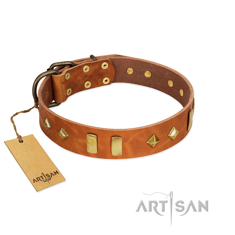 "Woofy Dawn" FDT Artisan Tan Leather Boxer Collar with Plates and Rhombs