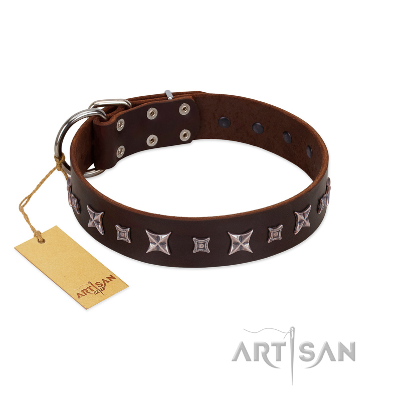 "Stellar Fairy " FDT Artisan Brown Leather Boxer Collar with Chrome-plated Star-like Decorations