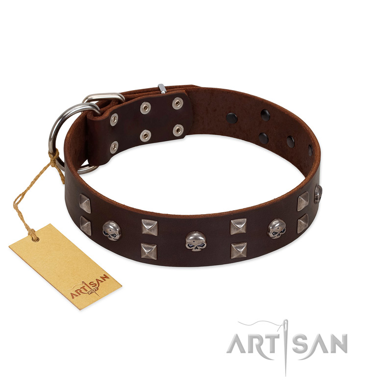 "Brown Shadow" Designer Handmade FDT Artisan Brown Leather Boxer Collar