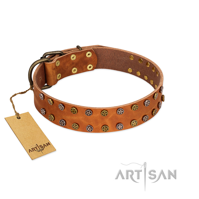 "Walk and Shine" FDT Artisan Tan Leather Boxer Collar with Antiqued Studs