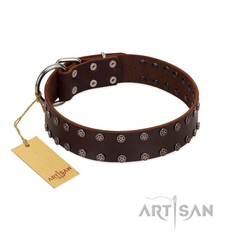 "Star Party" Handmade FDT Artisan Brown Leather Boxer Collar with Silver-Like Studs