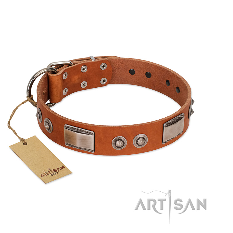 "Pawsy Glossy" FDT Artisan Exclusive Tan Leather Boxer Collar 1 1/2 inch (40 mm) wide