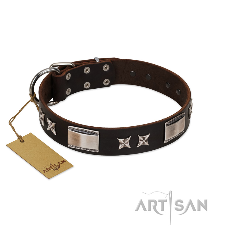 "Satin Beauts" FDT Artisan Brown Leather Boxer Collar with Stars and Plates