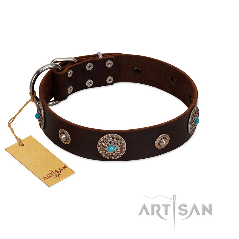 "Magic Stones" FDT Artisan Brown Leather Boxer Collar with Chrome Plated Brooches and Studs