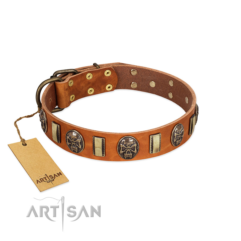 "Strike of Rock" FDT Artisan Tan Leather Boxer Collar with Plates and Medallions with Skulls