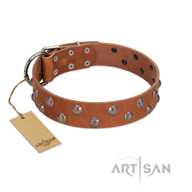 "Waltz of the Flowers" Handmade FDT Artisan Tan Leather Boxer Collar with Chrome-plated Engraved Studs