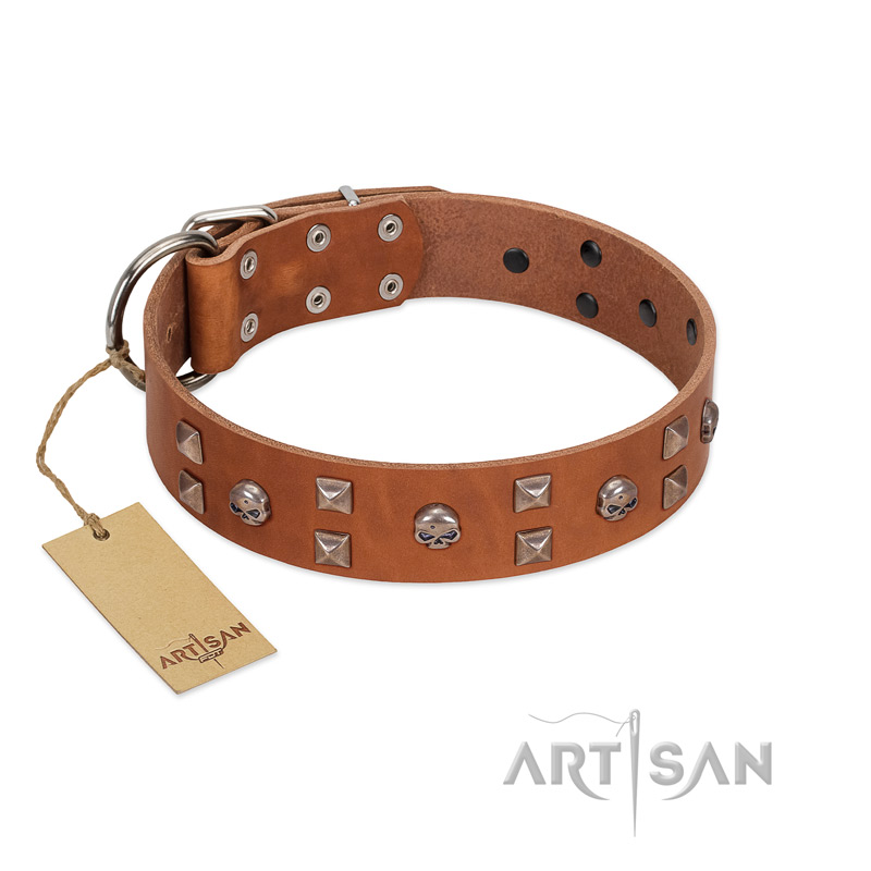 "Enchanted Skulls" FDT Artisan Tan Leather Boxer Collar with Chrome Plated Skulls