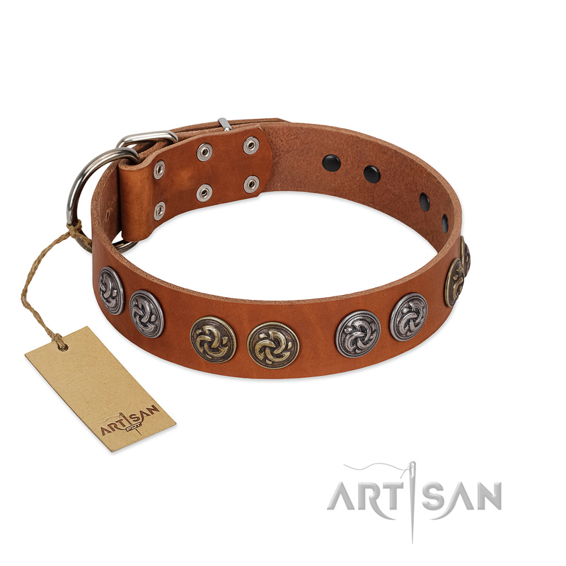 "Luxurious Life" Premium Quality FDT Artisan Tan Leather Boxer Collar with Round Adornments