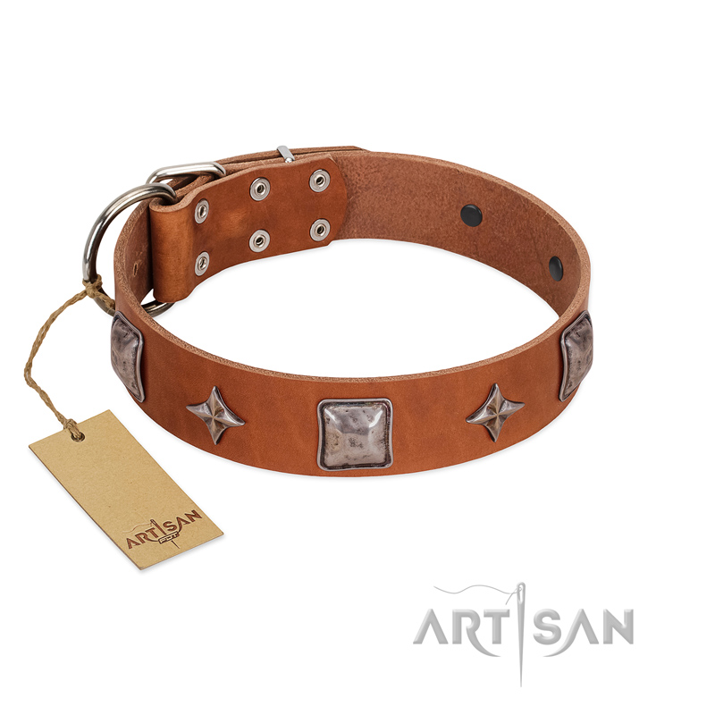 "Lucky Star" FDT Artisan Tan Leather Boxer Collar with Silver-Like Embellishments