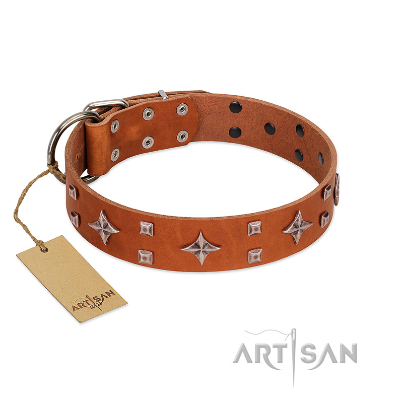 "Tawny Beauty" FDT Artisan Tan Leather Boxer Collar Adorned with Stars and Tiny Squares