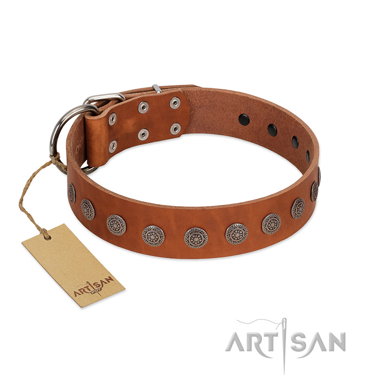 "Lucky Star" Handmade FDT Artisan Designer Tan Leather Boxer Collar with Round Plates