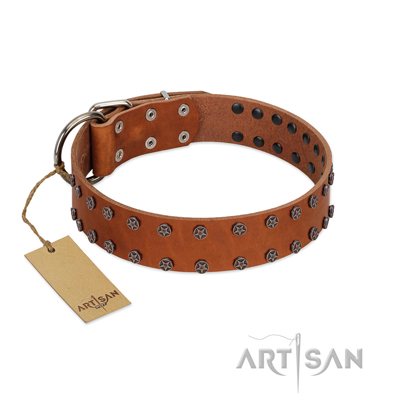 "Star Light" Stylish FDT Artisan Tan Leather Boxer Collar with Silver-Like Studs
