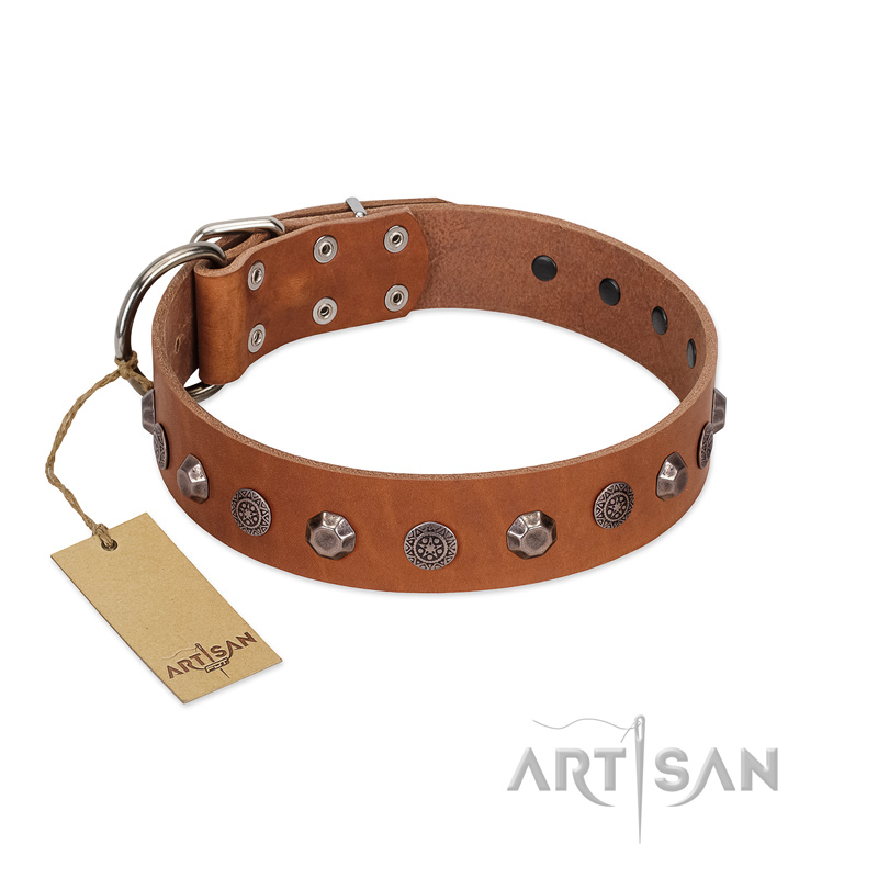 "Silver Age" Fashionable FDT Artisan Tan Leather Boxer Collar with Silver-Like Studs