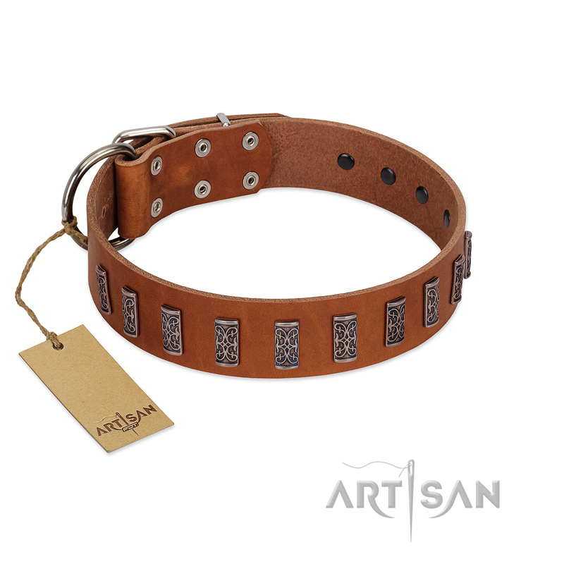 "Silver Century" Fashionable FDT Artisan Tan Leather Boxer Collar with Silver-Like Plates