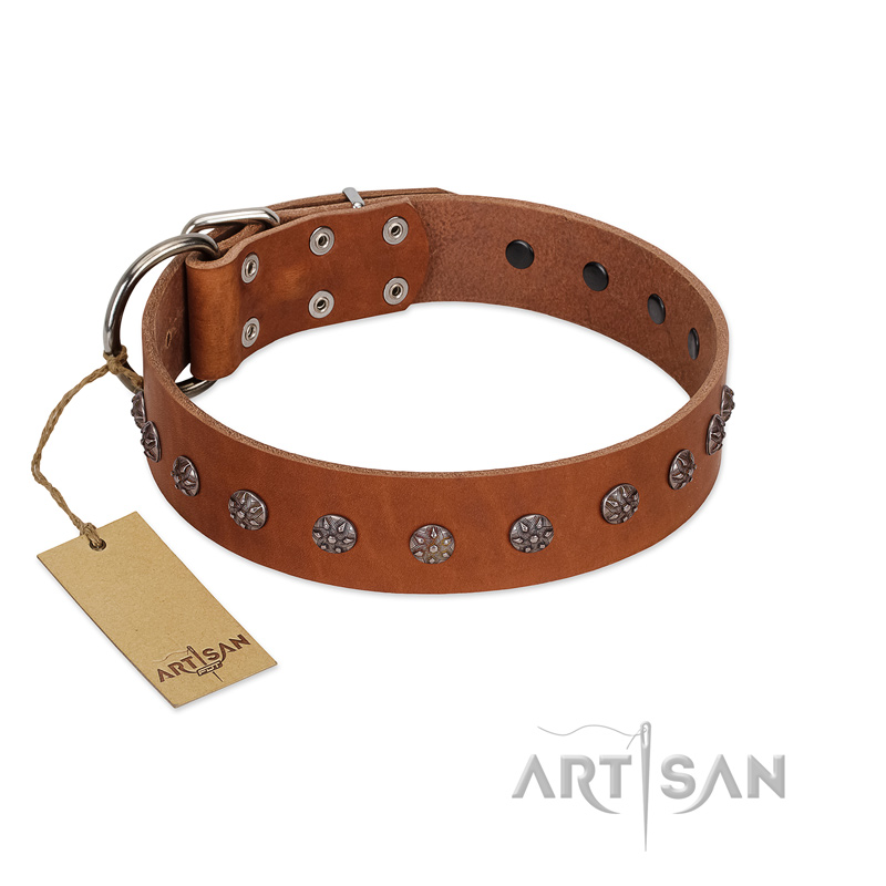 "Daintiness" Designer Handmade FDT Artisan Tan Leather Boxer Collar with Silver-Like Adornments