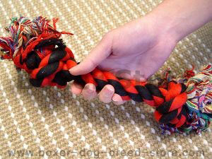 2-Knot Fiber Bone for Clean Teeth. Tartar Free!