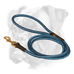 Nylon Boxer Leash with Unique Design