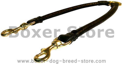 Boxer Double Dog Leash Coupler for two dogs