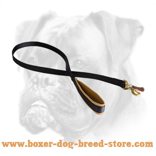 Nylon dog leash for Boxer with Brass Snap Hook