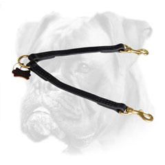 Quality leather Boxer coupler with brass metalware