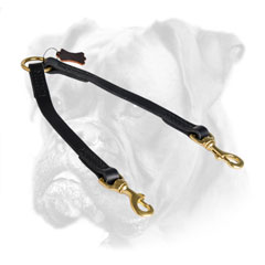 Superb leather Boxer coupler for walking two dogs