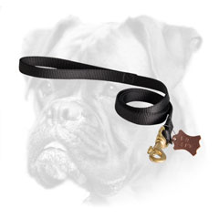 Walking and tracking nylon Boxer leash