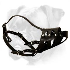 Strong Boxer muzzle for attack/agitation work