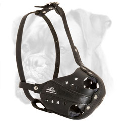 Boxer leather muzzle soft padded inside