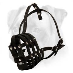 Excellent dog muzzle for Boxer