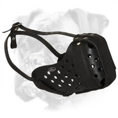 Easy adjustable leather Boxer muzzle for attack-agitation work