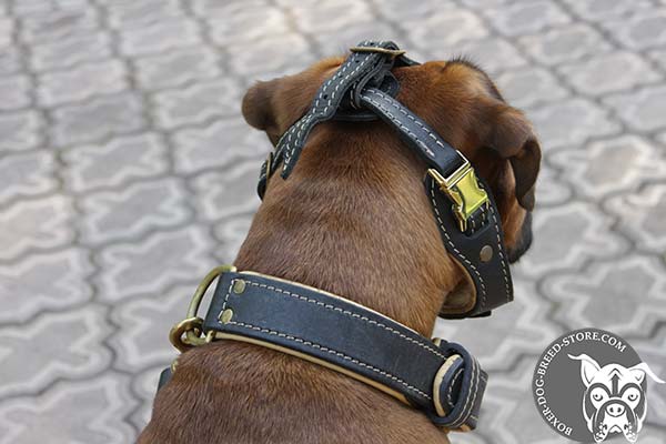 Easy adjustable Boxer muzzle