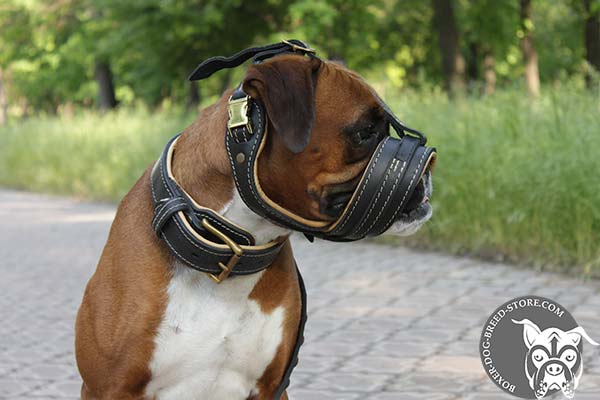 Leather Boxer muzzle with excellent air flow