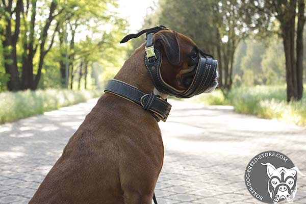 Boxer muzzle with quick release buckle