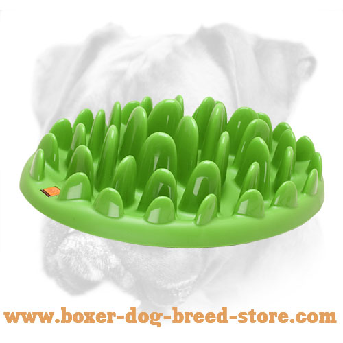 Green Grass Slow Dog Feeder For Boxer Ka17 1013 Interactive Slow