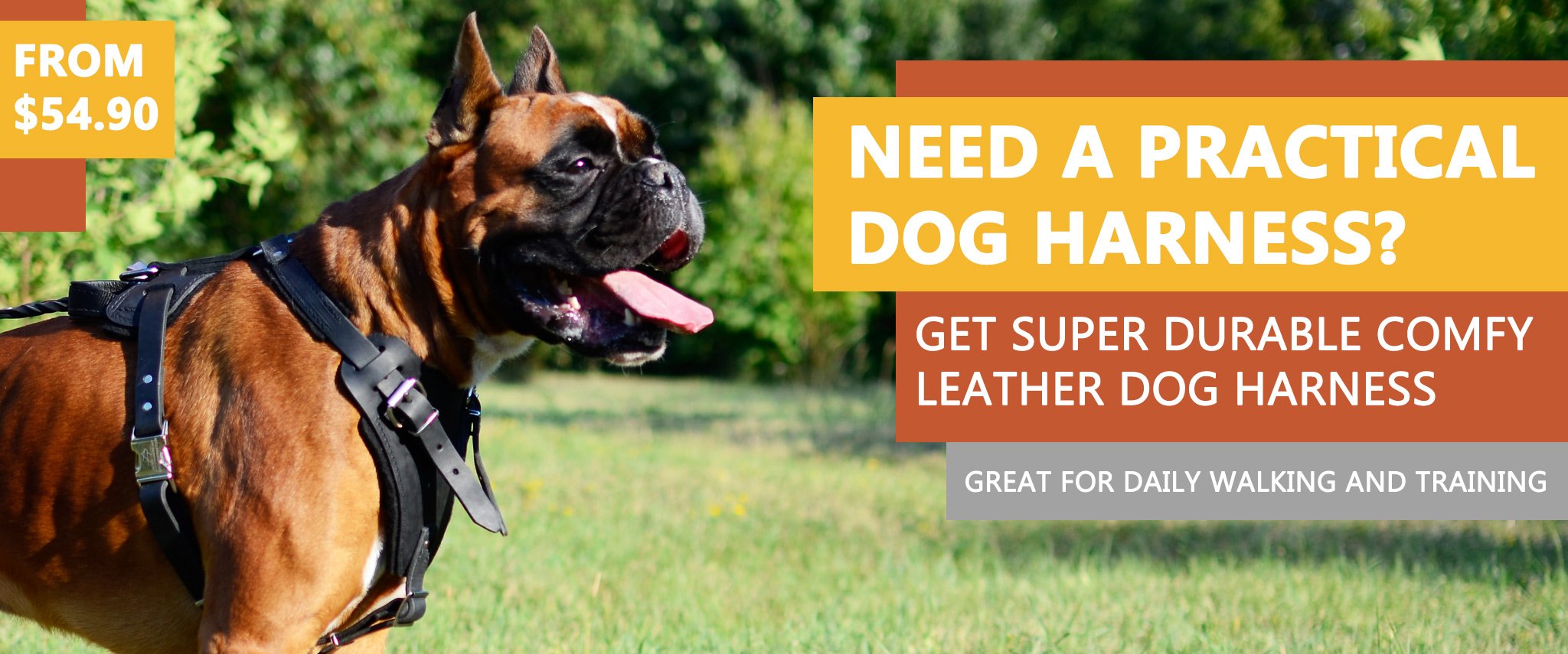 Boxer dog harness, Boxer dog muzzle, Boxer dog collar